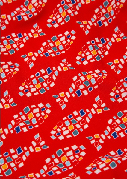 Balık Desenli Kırmızı Bikini Altı 1913628-10076