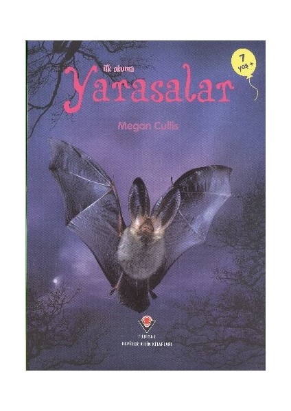 Ilk Okuma - Yarasalar