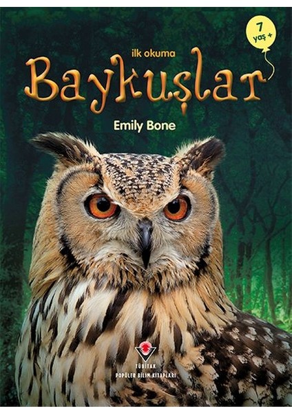 Ilk Okuma - Baykuşlar