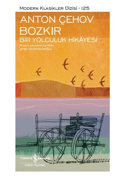 Bozkır Bir Yolculuk Hikayesi - Modern Klasikler Dizisi (Şömizli)