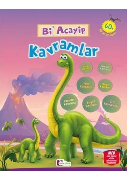 Bi Acayip Kavramlar