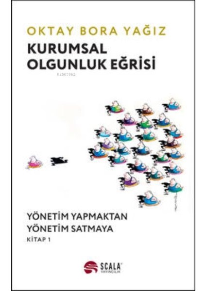 Kurumsal Olgunluk Eğrisi