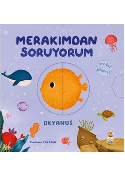Merakımdan Soruyorum - Okyanus