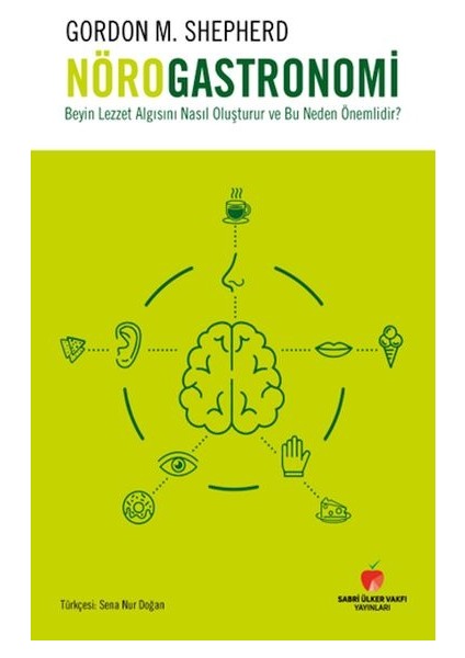 Beyin Lezzet Algısını Nasıl Oluşturur ve Bu Neden Önemlidir?