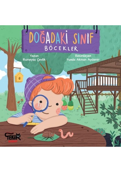 Doğadaki Sınıf- Böcekler
