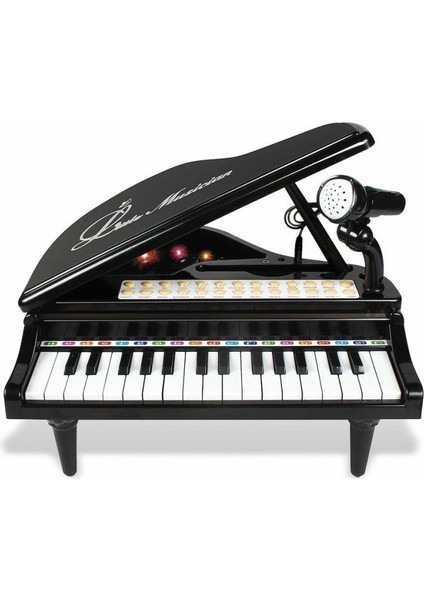 Nessiworld BAO-1504B 31 Tuşlu Mini Piano Mp3 -Vardem modelleri