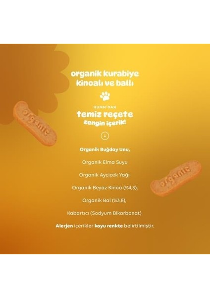 Nessiworld Humm Organik Ballı ve Kinoalı Kurabiye 55 gr fırsatları