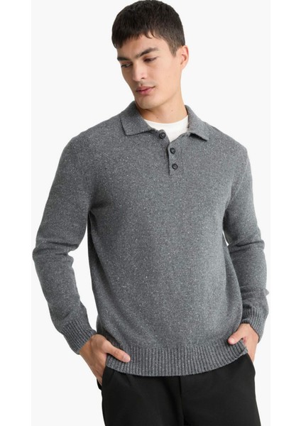 Standart Fit Polo Yaka Triko Kazak F7230AX25WN modelleri