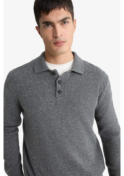 Standart Fit Polo Yaka Triko Kazak F7230AX25WN fırsatları