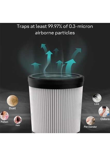 Fabuletta FSV001, FSV101, Girnoor G160 &amp; G165 Için Hepa Vakum Filtresi, Lubuelu 202 Kablosuz Çubuk Vakum Süpürgeleri (Yurt Dışından) indirimleri