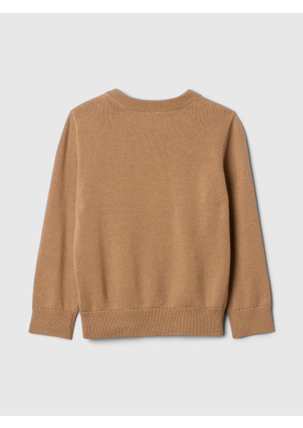 Erkek Bebek Kahverengi babyGap Intarsia Kazak