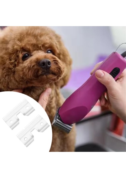 25 Diş Kenarlı Kaba Kesici Makas Yedek Seramik Bıçak Andis Için Çıkarılabilir 40 2 Adet (Yurt Dışından) fiyatları