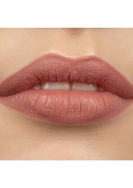 Lipsatin Organik Dudak Ruj 4.5 g Yumuşak Kremsi Doku Doğal Nudes fiyatları