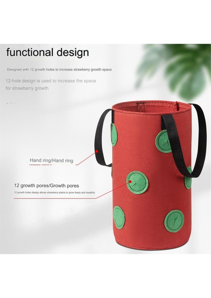 Adet Çok Işlevli 12 Delikli Keçe Askılı Domates Yetiştirme Çantası Ekici Sebze Çiçek Bitki Yetiştirme Çantaları Bahçe Saksısı (Yurt Dışından) fiyatları