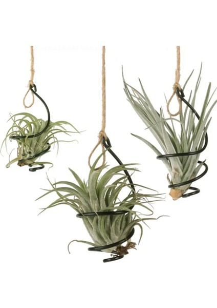 Hava Ananas Kancası Asılı Çiçek Standı Saksı Ekran Askı Tutucu Demir (Yurt Dışından) fiyatları