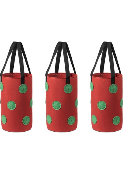 Adet Çok Işlevli 12 Delikli Keçe Askılı Domates Yetiştirme Çantası Ekici Sebze Çiçek Bitki Yetiştirme Çantaları Bahçe Saksısı (Yurt Dışından)