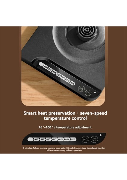 1000W Hızlı Isınan Su Kabı 304 Paslanmaz Çelik Elektrikli Su Isıtıcısı ve Kahve Isıtıcısı Otomatik Kapanma Abd Fişi (Yurt Dışından) fırsatları