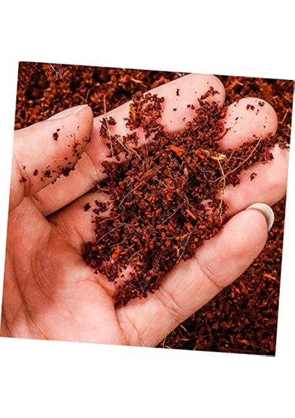 30X10 mm Hindistan Cevizi Kabuğu Blokları: Saksı Toprağı Için Hindistan Cevizi Kabuğu Özü, Bitkilerle (Sukulentler, Bonsai Toprağı) Karıştırılmış (Yurt Dışından) fiyatları