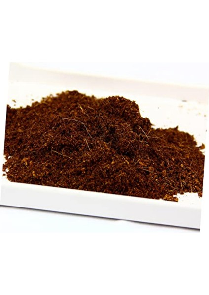 30X10 mm Hindistan Cevizi Kabuğu Blokları: Saksı Toprağı Için Hindistan Cevizi Kabuğu Özü, Bitkilerle (Sukulentler, Bonsai Toprağı) Karıştırılmış (Yurt Dışından) indirimleri