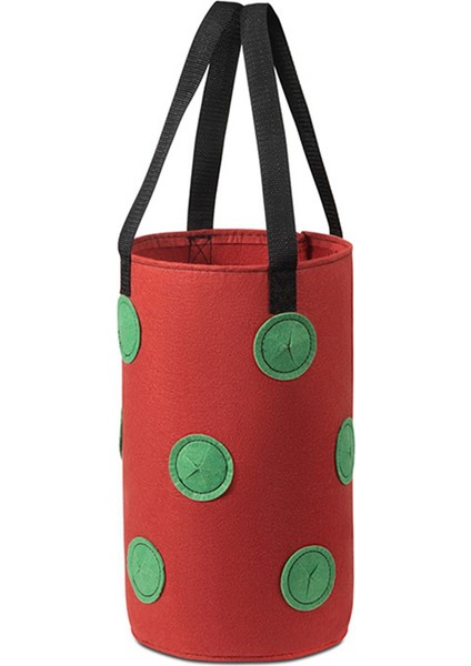 Adet Çok Işlevli 12 Delikli Keçe Askılı Domates Yetiştirme Çantası Ekici Sebze Çiçek Bitki Yetiştirme Çantaları Bahçe Saksısı, B (Yurt Dışından)