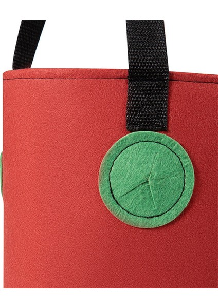 Adet Çok Işlevli 12 Delikli Keçe Askılı Domates Yetiştirme Çantası Ekici Sebze Çiçek Bitki Yetiştirme Çantaları Bahçe Saksısı, B (Yurt Dışından) modelleri