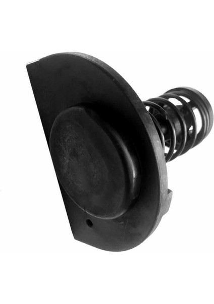 Pentair Mastertemp/sta-Rite Max-E-Therm Havuz ve Spa Isıtıcıları Için 77707-0001 Manifold Baypas Vanası Değişimi (Yurt Dışından)