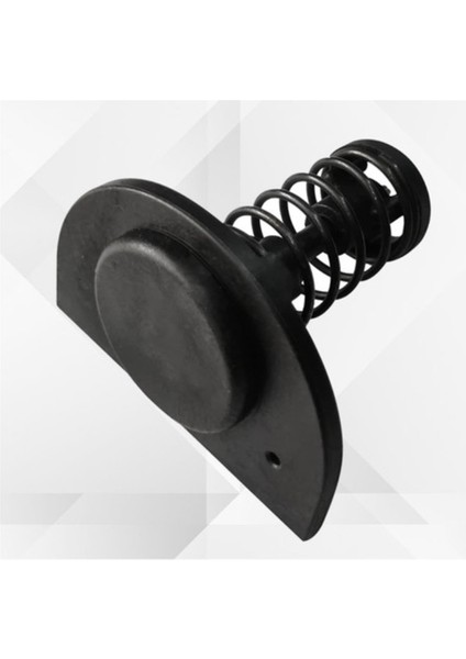 Pentair Mastertemp/sta-Rite Max-E-Therm Havuz ve Spa Isıtıcıları Için 77707-0001 Manifold Baypas Vanası Değişimi (Yurt Dışından) fırsatları