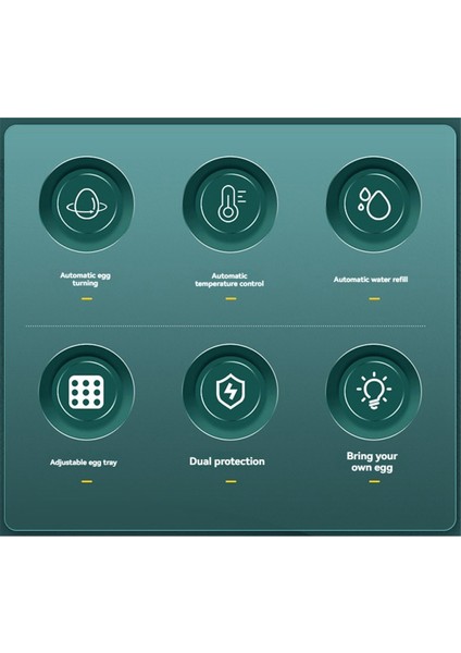 Otomatik Akıllı Kuluçka Makinesi Otomatik Yumurta Kuluçka Makinesi 15 Yumurta Turner Candler Sıcaklık Kontrolü Au Fişi (Yurt Dışından) modelleri