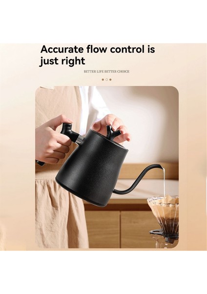 1000ML Hızlı Isınan Su Kabı 304 Paslanmaz Çelik Elektrikli Su Isıtıcısı ve Kahve Isıtıcısı Otomatik Kapanma Abd Fişi (Yurt Dışından) indirimleri