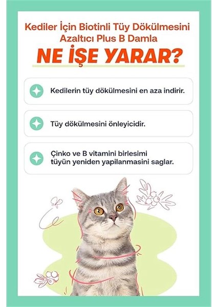 Kediler Için Plus B Damla 50ML ve Tüy Dökülmesini Engelleyici Biotinli Tüy Sağlığı Damlası