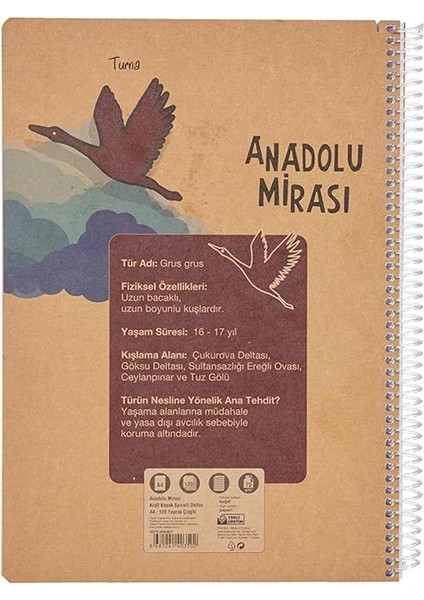 Faber-Castell Anadolu Mirası Spiralli Defter, A4, 120 Yaprak, 70G Kağıt, Çizgili, Dayanıklı Kapak modelleri