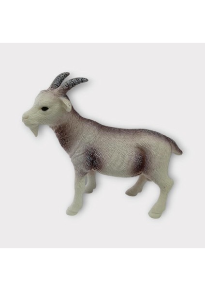 Çiftlik Hayvanları - Keçi (Lisinya)