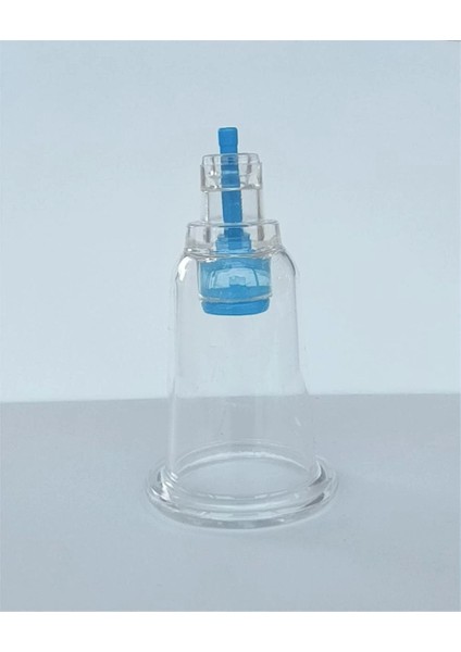 3 Numara Hacamat Kupası - Lisinya