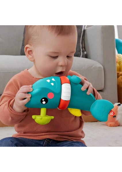 Nessiworld Fisher Price Hareketli Köpek Balığı HJP01 indirimleri