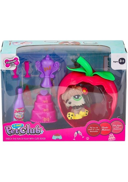 Nessiworld KZL-CL2103 1-4 elmalı Pet Star Oyun Seti -Kızılkaya Oyuncak