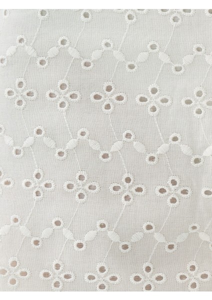 Regular Fit Kadın Şort