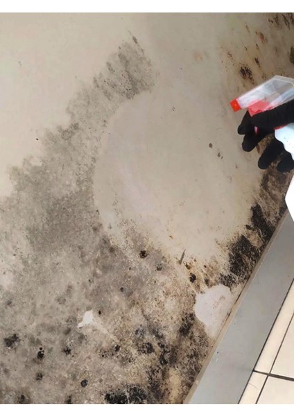 Tüm Yüzeylere Uygun Küf Giderici - Anti Küf indirimleri