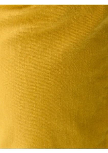 Regular Fit Erkek Şort