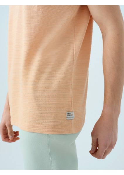 Regular Fit Erkek Tshirt K.kol