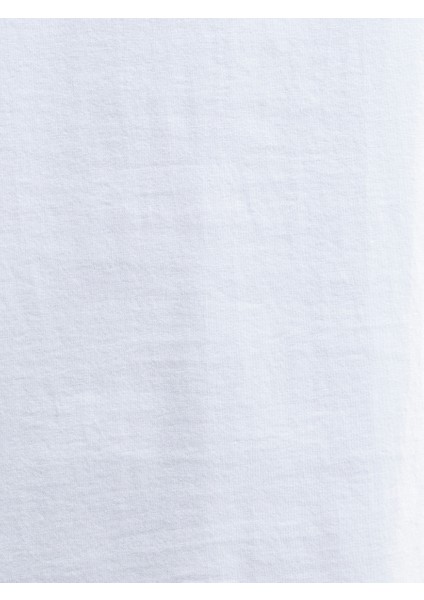 Regular Fit Erkek Tshirt K.kol