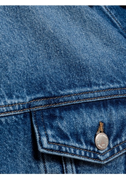 Regular Fit Kadın Ceket