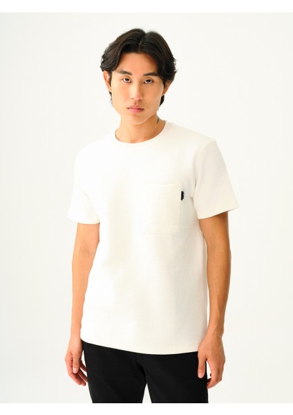 Regular Fit Erkek Tshirt K.kol