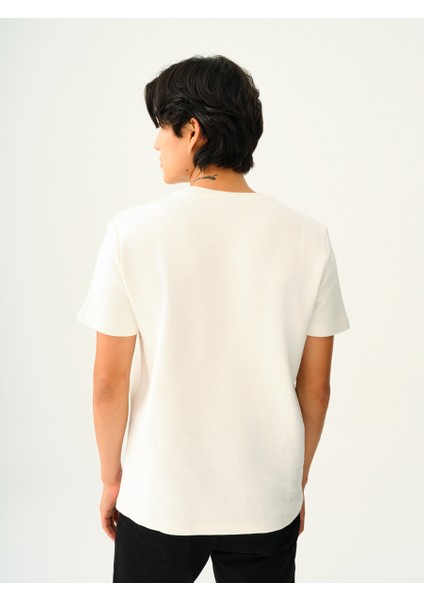 Regular Fit Erkek Tshirt K.kol