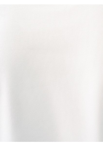 Regular Fit Erkek Sweatshirt