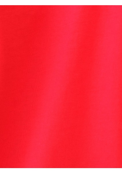 Regular Fit Erkek Tshirt K.kol