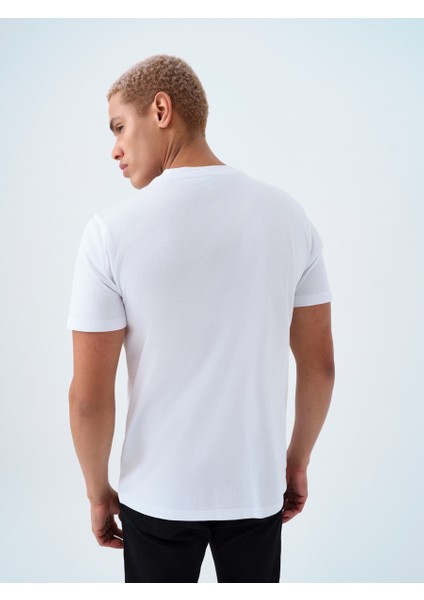 Regular Fit Erkek Tshirt K.kol