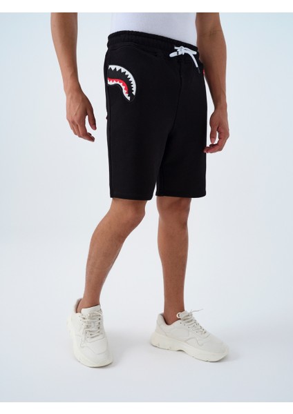 Regular Fit Erkek Şort