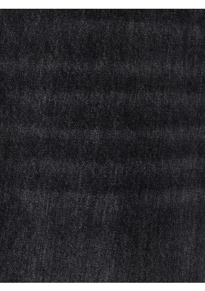 Skater Fit Erkek Şort