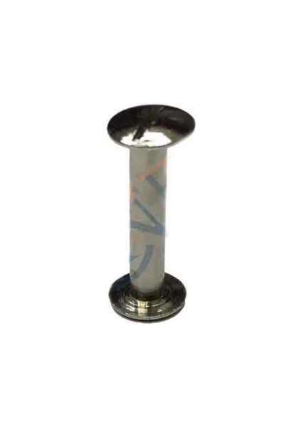 Cilt Menü, Katalog, Kartela Vidası, 20 mm - Nikel, 100 Adet