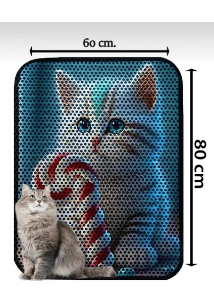 Büyük Boy Elekli Tuvalet Önü Desenli Kedi Kumu Paspası | 60X80 cm Kum Toplayıcı Mat fiyatları